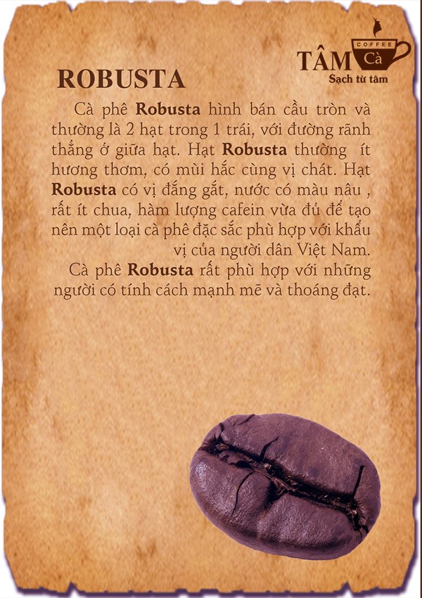ca-phe-tamca-nguyen-chat (11)