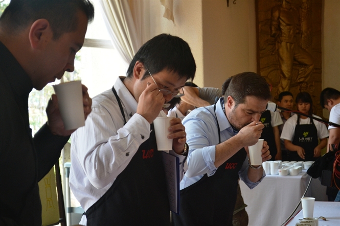 Các chuyên gia cupping cà phê