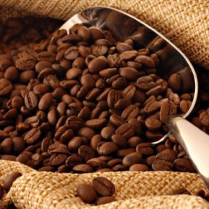 Hạt Robusta đựng trong bao